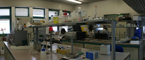 laboratorio 2